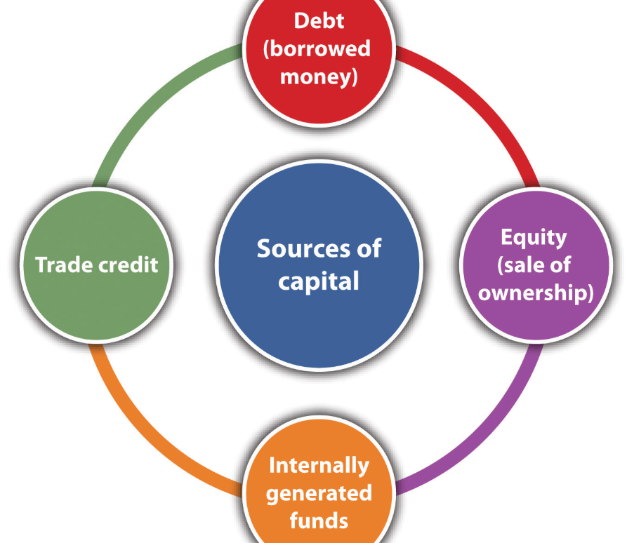 How Entrepreneurs Manage Finances for Growth
